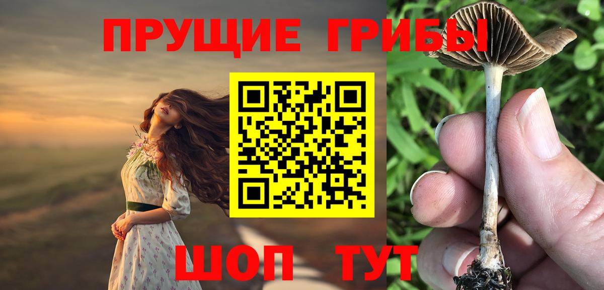 Галлюциногенные грибы Magic Shrooms Ртищево